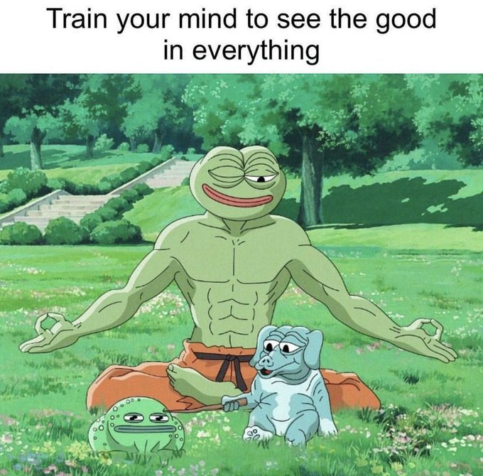 The image features a meme with the text "Train your mind to see the good in everything" at the top, depicting an anime-style frog character meditating peacefully in a lush park alongside a small dog and frog.