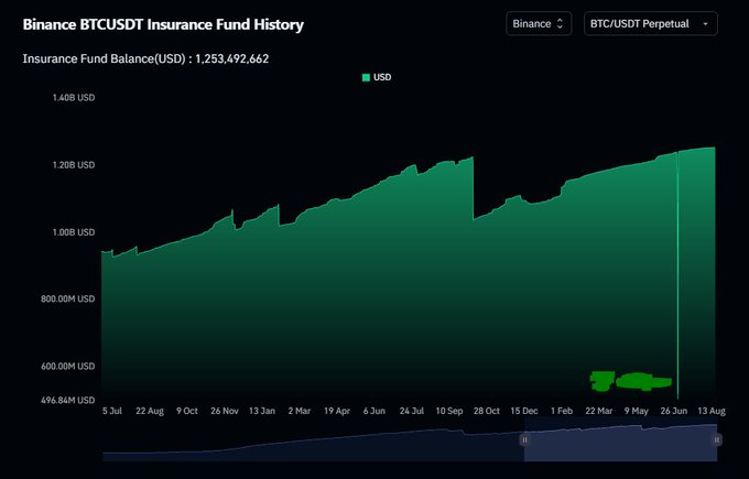 A financial chart titled 'Binance BTCUSDT Insurance Fund History' showing the Insurance Fund Balance in USD (currently 1,253,492,662) for the BTC/USDT Perpetual contract, with a green area graph tracking growth from July to August.