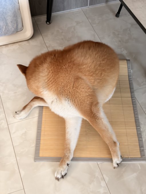 [caption-failed: minimax unavailable]