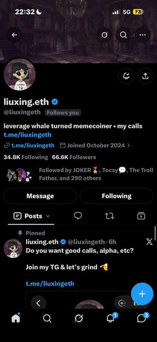 A screenshot of an X (Twitter) profile for 'liuxing.eth' (@liuxingeth) with a verified checkmark, a bio mentioning a 'leverage whale turned memecoiner,' 66.6K Followers, and a pinned post offering alpha calls via a Telegram link t.me/liuxingeth.
