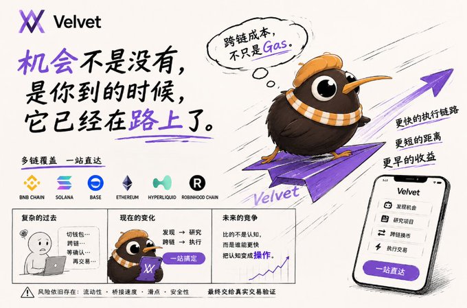 A promotional graphic for "Velvet," a multi-chain crypto trading platform supporting BNB Chain, Solana, Base, Ethereum, Hyperliquid, and Robinhood Chain, featuring a cartoon kiwi bird with text about cross-chain costs and faster execution routes.