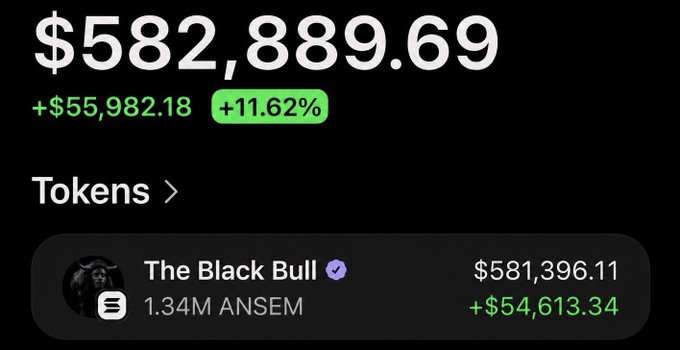 The image displays a portfolio value of $582,889.69 with a +11.62% gain, highlighting "The Black Bull" token at $581,396.11 (+$54,613.34). It relates to the post by showcasing the trader's profitable crypto holdings, which supports their credibility and ability to host a 10 SOL giveaway to 10 winners.
