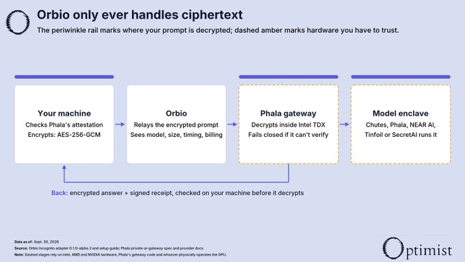 A diagram titled 'Orbio only ever handles ciphertext' illustrating a privacy-preserving AI architecture. The flow shows: Your machine (checks Phala's attestation, encrypts with AES-256-GCM) → Orbio (relays encrypted prompt) → Phala gateway (decrypts inside Intel TDX) → Model enclave (runs AI). Periwinkle rail marks where prompts are decrypted, dashed amber marks trusted hardware. Data ex-it: Sept 30, 2026. By Optimist.