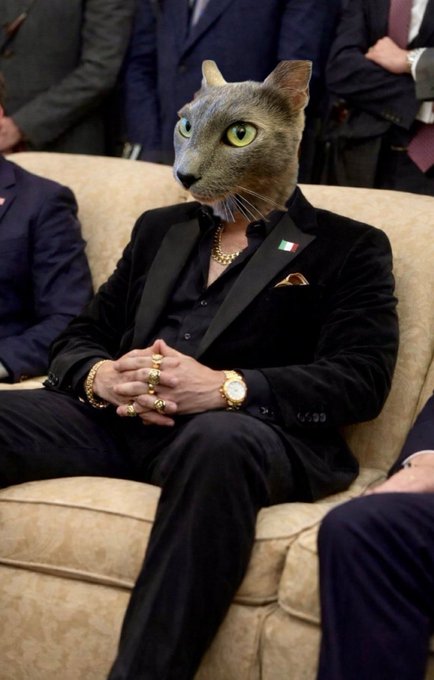 A digital composite shows a gray cat's head superimposed on a sharply dressed figure in a black velvet suit, gold chains, rings, and a luxury watch, seated on a cream couch surrounded by suited onlookers—evoking the confident, flamboyant "boss" persona of a crypto trader. The image ties directly to the post's bullish stance on tokens like $TUT, $BNB, $REDO, $GRAM, $BOBA, and $ETH, positioning the cat as the dapper mastermind waiting for his coins to "reach new heights."