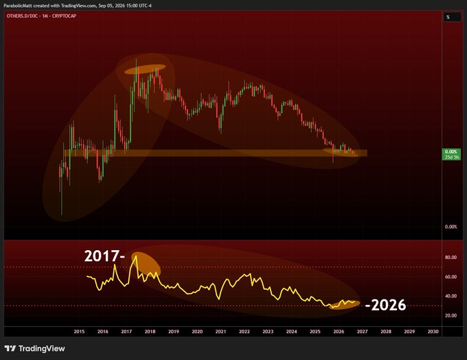 A TradingView chart of OTHERS.D (excluding the top 10 cryptos) on a monthly timeframe from ~2014 to 2030 shows the RSI indicator peaking around 80 in 2017 and dropping toward ~20 by 2026, with the price action highlighting the 2017 high and a horizontal support near $254.5B—visually reinforcing the post's claim that a "2017 rerun in 2027" may be forming as altcoin market cap compresses toward a long-term base.