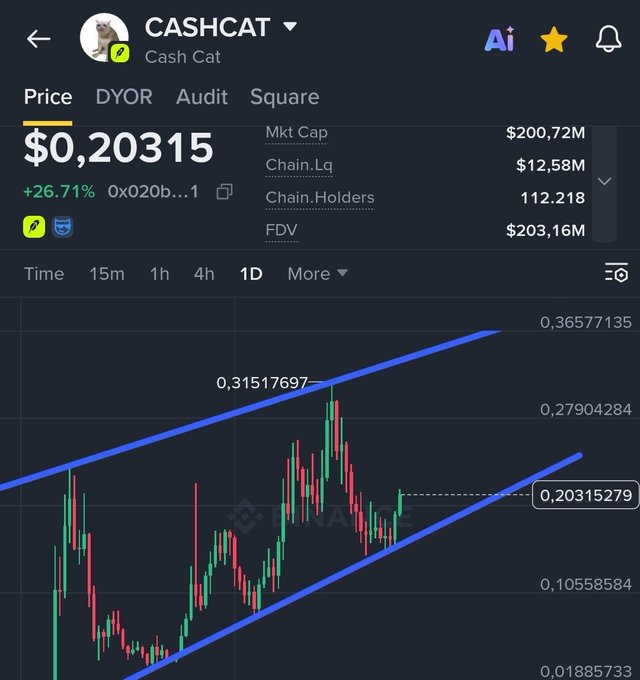 A cryptocurrency price chart for Cash Cat (CASHCAT) shows the token at $0.20315, up 26.71%, with a market cap of $200.72M and 112,218 chain holders, displaying an ascending channel pattern between $0.105 and $0.315. The chart visually reinforces the post's optimistic sentiment about reaching new all-time highs as the market cap approaches $210M.