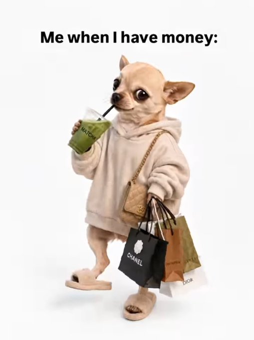 A chihuahua wearing a hoodie and slides carries shopping bags from Chanel and Dior while drinking a matcha beverage, captioned 'Me when I have money:'.