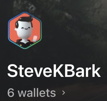A digital profile graphic for "SteveKBark" featuring a 3D-rendered character with headphones inside a hexagon against a gradient orange-green background, with text below indicating "6 wallets." The hexagonal PFP showcased here is the same custom profile picture the user is referencing in their post about their OpenSea mobile profile.