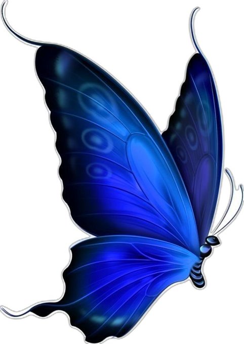 A digital illustration of a vibrant blue butterfly with intricate circular patterns on its wings and delicate antennae, set against a transparent background.