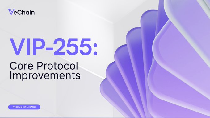 A promotional graphic for VeChain announces 'VIP-255: Core Protocol Improvements' as part of the 'VeChain Renaissance' against a purple abstract background.