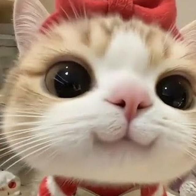 A close-up photo of an orange and white kitten with large, watery eyes, appearing sad and emotional.