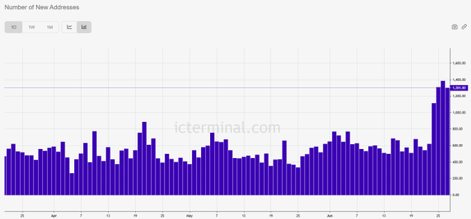 A purple bar chart from icterminal.com titled "Number of New Addresses" shows daily new $ICP address creations from late March through late June, displaying a dramatic spike at the end of the period reaching approximately 1,300-1,400 new addresses, corresponding to the recent surge of 5.1K new addresses added over the last 4 days highlighted in the accompanying post.