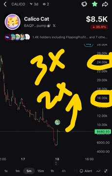 A trading chart for token 'Calico Cat' showing a market cap of $8.5K, with handwritten yellow annotations '3X', '2X', and circled resistance levels at 18.00K and 16.00K.