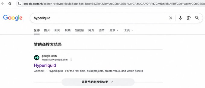 Google search results page for 'hyperliquid' showing a sponsored result linking to google.com with the title 'Hyperliquid' and tagline 'Connect — Hyperliquid — For the first time, build projects, create value, and watch assets'.