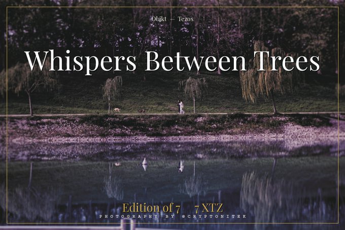 Promotional artwork titled "Whispers Between Trees" by photographer @cryptonifek, labeled as "Edition of 7" with "Objkt — Tezos" branding, showing a serene lake scene with trees and a figure reflected in the water.