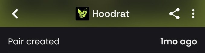 Screenshot of a mobile app interface showing a profile named 'Hoodrat' with a green goblin icon, and a notification that reads 'Pair created 1mo ago.'
