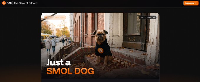 A screenshot of the BOB (The Bank of Bitcoin) website featuring an image of a dog wearing a BOB-branded hoodie with the text 'Just a SMOL DOG' overlaid.