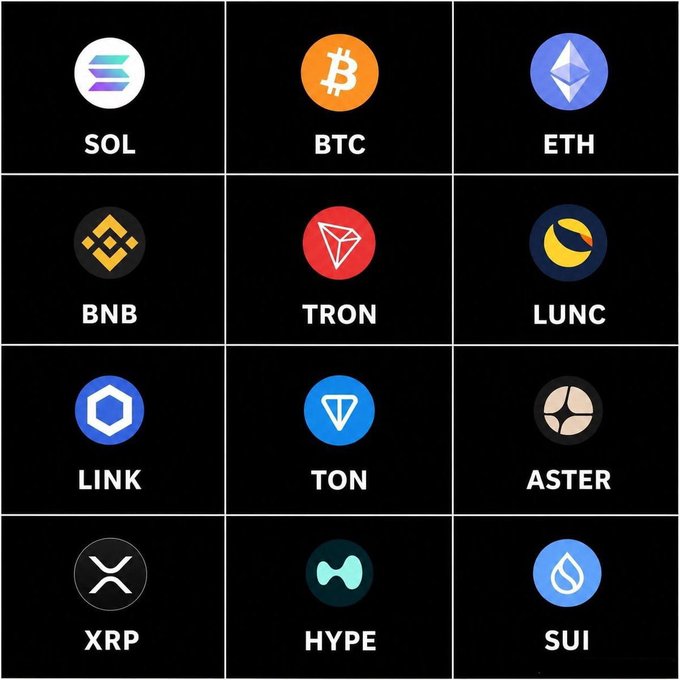 A grid of 12 cryptocurrency ticker logos on a black background, displaying SOL, BTC, ETH, BNB, TRON, LUNC, LINK, TON, ASTER, XRP, HYPE, and SUI. The image complements the post by visually showcasing Bitcoin (BTC) among other prominent cryptocurrencies, emphasizing BTC's position as a market leader worth investing $10,000 into.