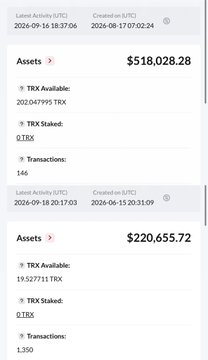 A screenshot of a digital wallet showing two asset balances of $518,028.28 and $220,655.72 USDT, with TRX holdings and transaction counts displayed.