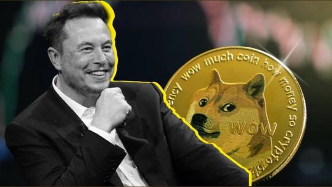 Elon Musk smiles beside a large Dogecoin (DOGE) coin inscribed with "wow much coin boy money so crypto," visually reinforcing his bullish quote about the meme cryptocurrency's unstoppable rise.