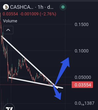 A TradingView chart of $CASHCA priced at 0.03554 (-2.76%) displays a descending wedge/symmetrical triangle pattern with two blue arrows showing a potential breakout reversal upward, illustrating the poster's claim of successfully calling the bottom for a 169% gain and now predicting the same setup for $CATJAK.