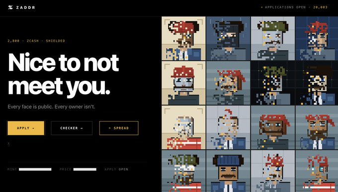 ZADDR website landing page with the tagline 'Nice to not meet you' and 'Every face is public. Every owner isn't,' displaying a grid of pixel art character NFTs.