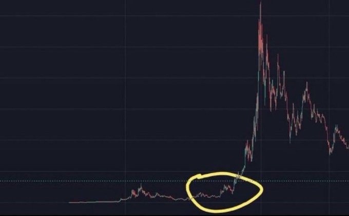 A price chart showing a flat, low-value period (circled in yellow) followed by a dramatic vertical spike and subsequent volatile decline, illustrating the classic "then it pumped" pattern often associated with memecoin hype cycles.