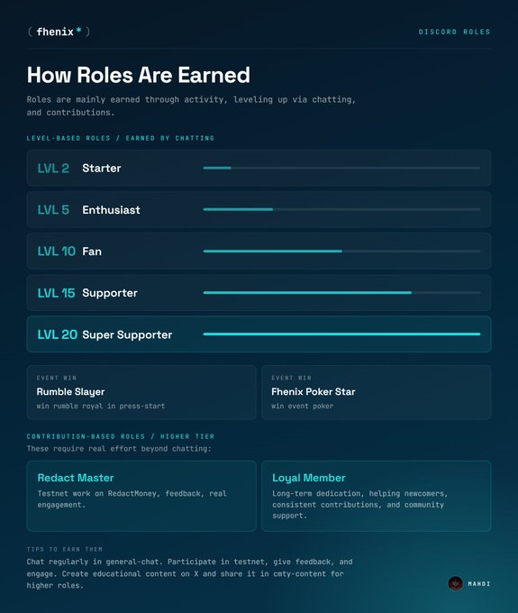 A Discord roles information page titled 'How Roles Are Earned' for the Fenix community, listing level-based roles (LVL 2 Starter, LVL 5 Enthusiast, LVL 10 Fan, LVL 15 Supporter, LVL 20 Super Supporter) and contribution-based roles.