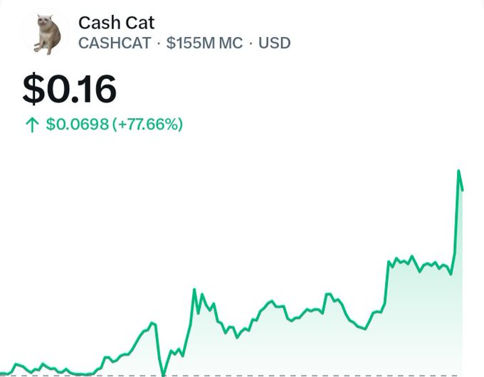 A cryptocurrency price chart for 'Cash Cat' (CASHCAT) showing a price of $0.16 with a +77.66% increase of $0.0698, featuring a $155M market cap and a green upward-trending line graph.