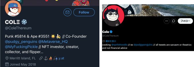 The image shows Twitter profiles of Cole (@ColeThereum), featuring both the legacy Twitter format on the left and the updated X interface on the right. His bio references being "Co-Founder @pudgy_penguins // NFT Investor, creator, collector, and flipper," aligning with the post's observation that despite being ousted from the Pudgy Penguins project, he still claims co-founder status in his profile rather than acknowledging the community-driven removal.