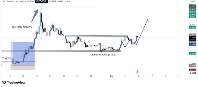 A TradingView 4-hour chart of **$SUI/USDT** showing a price of **0.7943** (with an O:0.7955, H:0.8000, L:0.7935), illustrating a "BULLISH BEAUTY" breakout from a prolonged accumulation phase near $0.76, with the trader projecting a potential push toward the **$0.84–$0.90** resistance zone if buyers hold above the **$0.79** breakout level.