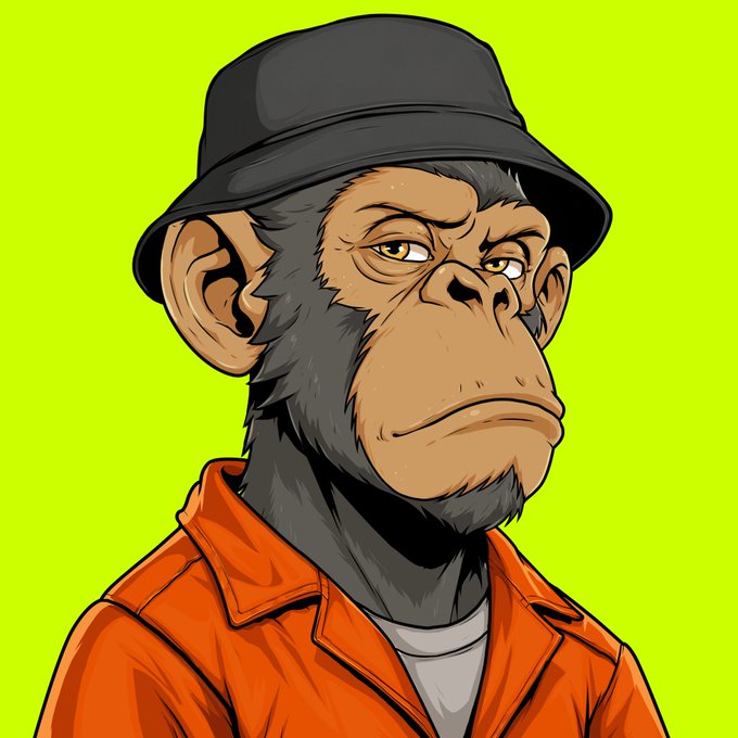 A digital cartoon portrait of a chimpanzee wearing a black bucket hat and an orange jacket against a bright green background.