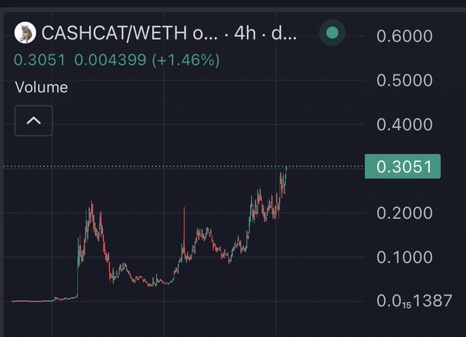 A cryptocurrency trading chart displays the CASHCAT/WETH pair at a price of 0.3051 WETH, showing a +1.46% gain with a 4-hour timeframe. The chart illustrates volatile price action with notable upward momentum, supporting the post's claim of CASHCAT reaching a new all-time high after a 500% rally from its bottom.