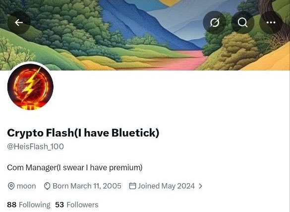 The image shows a Twitter/X profile for "Crypto Flash (I have Bluetick)" (@HeisFlash_100), a "Com Manager (I swear I have premium)" with a The Flash logo avatar, joined May 2024, featuring 88 following and 53 followers. The post mocks CTNG (crypto Twitter non-followers) who lose their coveted blue verification badge, implying the account creator's own bluetick is also at risk of expiring soon.