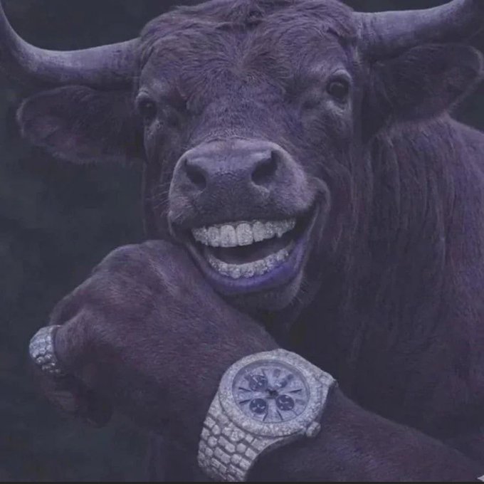 A purple-tinted image of a bull with its mouth open showing teeth, wearing a diamond-encrusted watch and grillz.