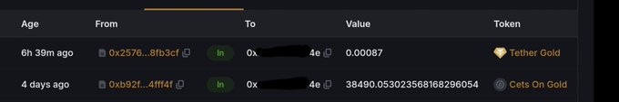 A dark-themed blockchain transaction history table showing two recent token swaps: 'Tether Gold' (6h 39m ago) and 'Cets On Gods' (4 days ago), with sender and receiver addresses partially redacted.