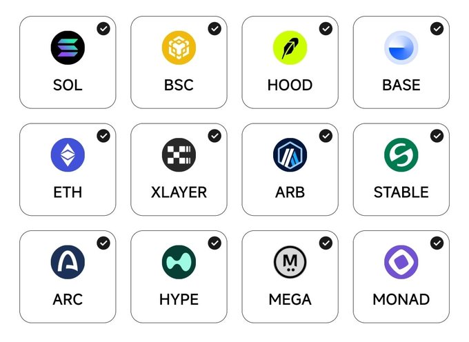 A grid of cryptocurrency network selection buttons shows SOL, BSC, HOOD, BASE, ETH, XLAYER, ARB, STABLE, ARC, HYPE, MEGA, and MONAD, all marked with checkmarks.