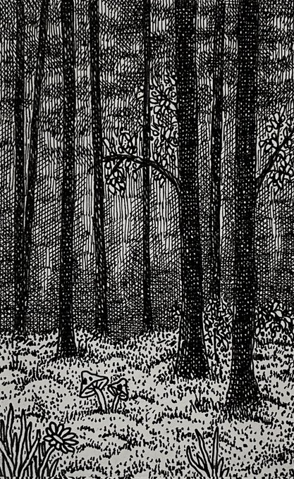 A detailed black and white pen-and-ink illustration of a dense forest with tall trees and small mushrooms growing on the forest floor.