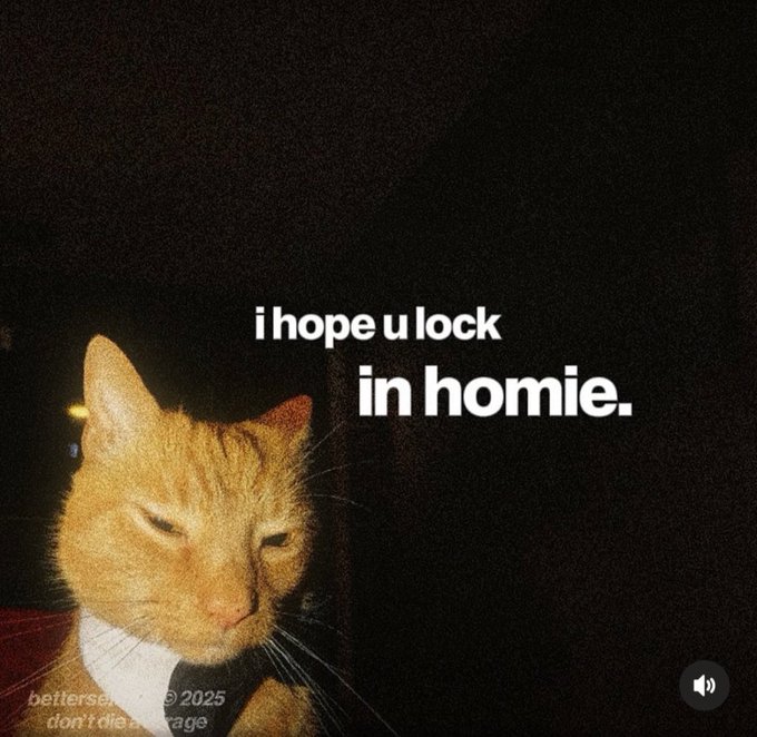 Meme image of an orange tabby cat wearing a suit with text 'i hope u lock in homie.' on a dark background.