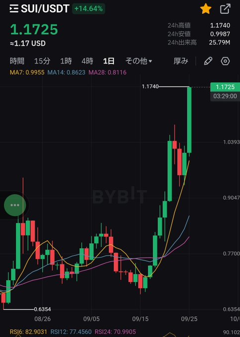 A cryptocurrency trading chart for SUI/USDT on Bybit shows a price of 1.1725 USD with a +14.64% gain, featuring candlestick patterns and moving averages (MA7, MA14, MA28) with RSI indicators.