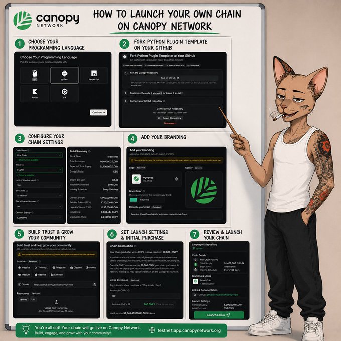 An infographic titled "HOW TO LAUNCH YOUR OWN CHAIN ON CANOPY NETWORK" detailing 7 steps (Choose Language, Fork Template, Configure, Add Branding, Build Community, Set Launch, Review), accompanied by an illustration of an anthropomorphic cat character holding a pointer.
