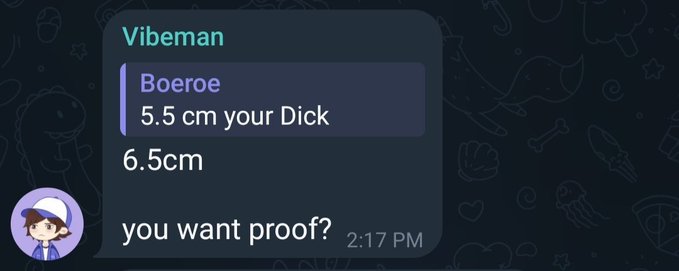 A Discord chat screenshot from a user named Vibeman containing crude, explicit messages with timestamps.