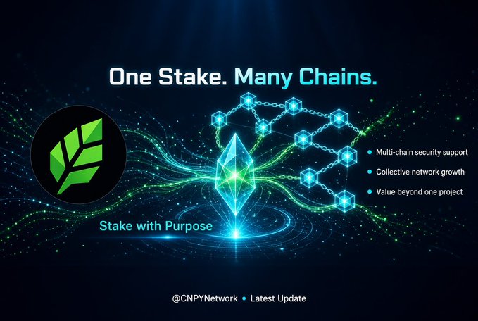A digital graphic promotes cryptocurrency staking with the text 'One Stake. Many Chains.' and 'Stake with Purpose', tagged '@CNPYNetwork • Latest Update'.