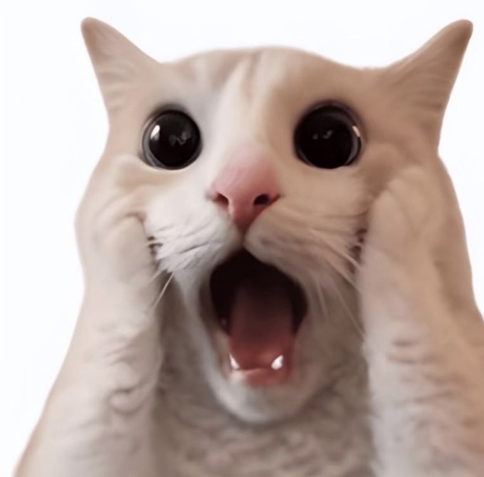 The image shows a wide-eyed white cat with its paws pressed against its cheeks and mouth open in a classic shocked expression.

The caption perfectly captures the crypto market's "icy and fiery" mood: a shocked cat meme reflecting how Bitcoin's sudden rally feels astonishing, yet unsettling when paired with the tragic and suspicious death of a Chinese crypto tycoon managing over $2 billion in Paraguay.