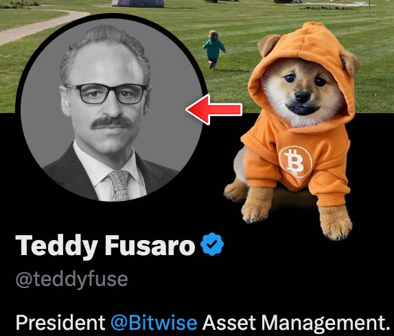 A Twitter-style profile card for 'Teddy Fusaro' (@teddyfuse), identified as 'President @Bitwise Asset Management,' features a photo of him with an arrow pointing to a Shiba Inu dog wearing an orange Bitcoin hoodie.