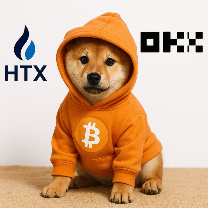 A Shiba Inu puppy wearing an orange Bitcoin-themed hoodie, with 'HTX' logo on the left and 'OKX' on the right.