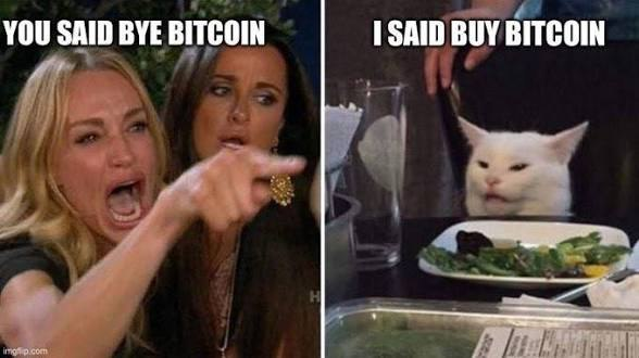 The image is a two-panel meme: the left panel shows a blonde woman yelling and pointing with text reading "YOU SAID BYE BITCOIN," while the right panel features the "Woman Yelling at Cat" meme with the cat sitting at a dinner table captioned "I SAID BUY BITCOIN."

This humorously illustrates the post's point by playing on the common mishearing/misinterpretation of "buy Bitcoin" as "bye Bitcoin," with the cat calmly insisting on the correct investment advice despite the woman's outraged reaction.