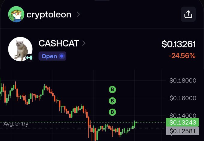 A crypto trading chart for 'CASHCAT' on cryptoleon, showing the token's price at $0.13261 with a -24.56% loss and multiple 'B' indicators.