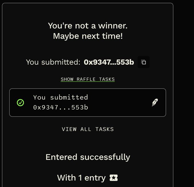 A notification showing the message "You're not a winner. Maybe next time!" for a submitted entry "0x9347...553b" in the Robinwifhat giveaway raffle on alphabot.app, confirming the entry was successfully submitted with 1 entry but did not win.