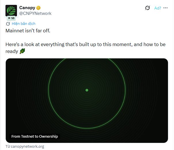A tweet from Canopy (@CNPYNetwork) announces that mainnet is near, featuring a green animated graphic titled "From Testnet to Ownership."